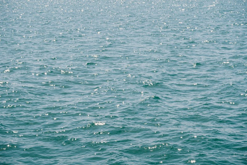 Live music night event at Dions restaurant